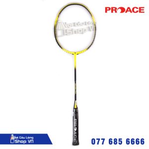 Vợt cầu lông Proace Stroke 319