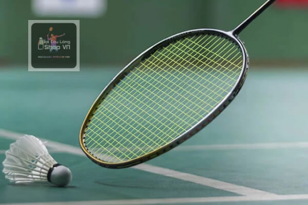 Nên mua vợt Lining hay Yonex? So sánh 2 loại vợt nổi tiếng nhất