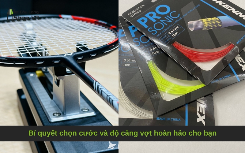 Bí quyết chọn cước và độ căng vợt hoàn hảo cho bạn
