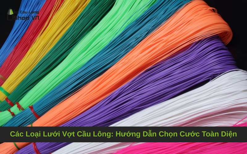 Các Loại Lưới Vợt Cầu Lông: Hướng Dẫn Chọn Cước Toàn Diện