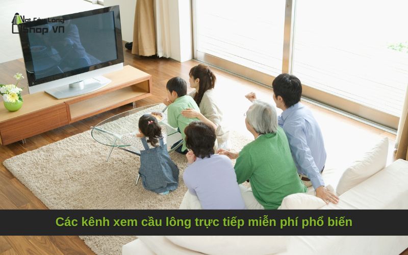 Các kênh xem cầu lông trực tiếp miễn phí phổ biến