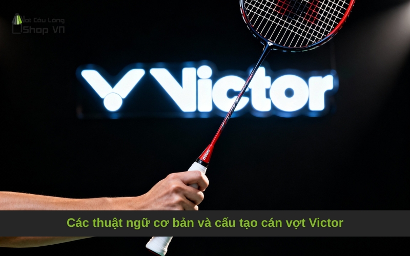 Các thuật ngữ cơ bản và cấu tạo cán vợt Victor