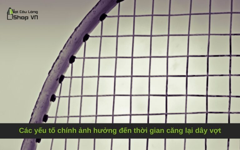 Bao lâu thì căng lại dây vợt cầu lông một lần?