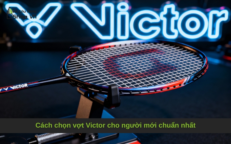 Cách chọn vợt Victor cho người mới chuẩn nhất