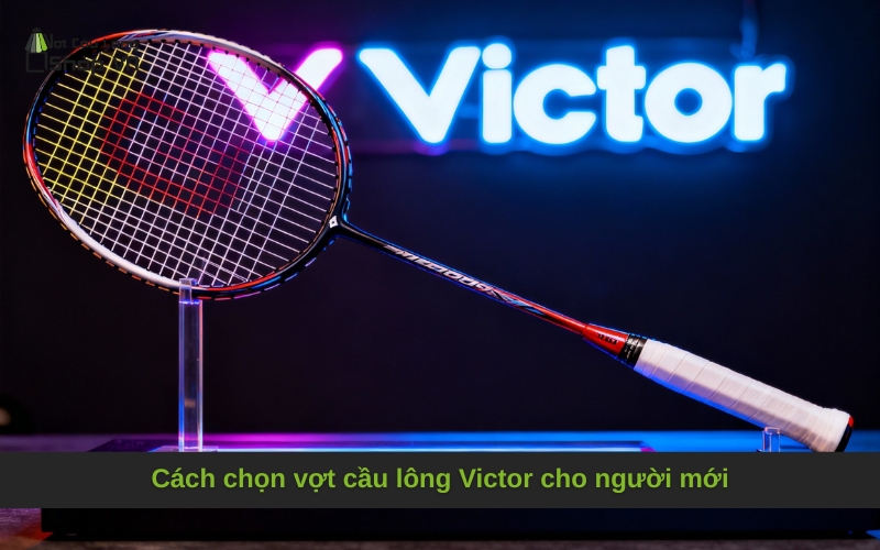 Cách chọn vợt cầu lông Victor cho người mới
