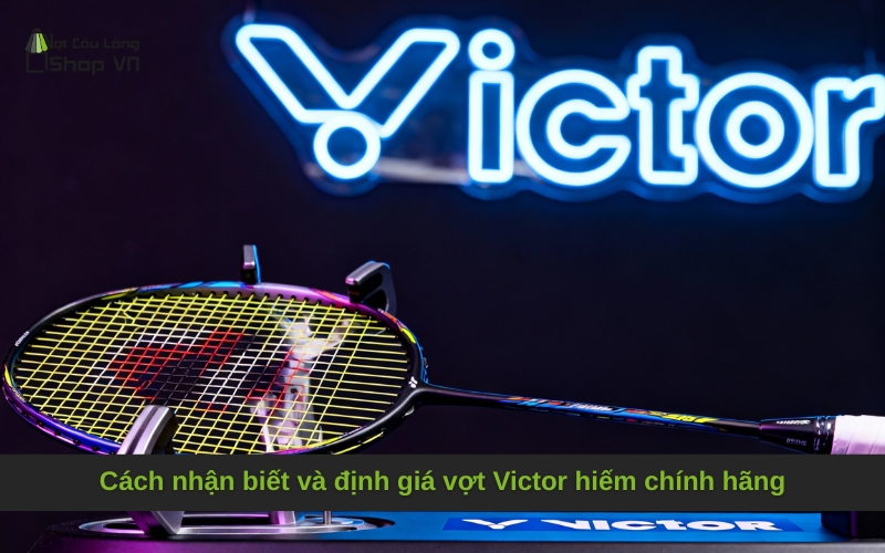 Cách nhận biết và định giá vợt Victor hiếm chính hãng
