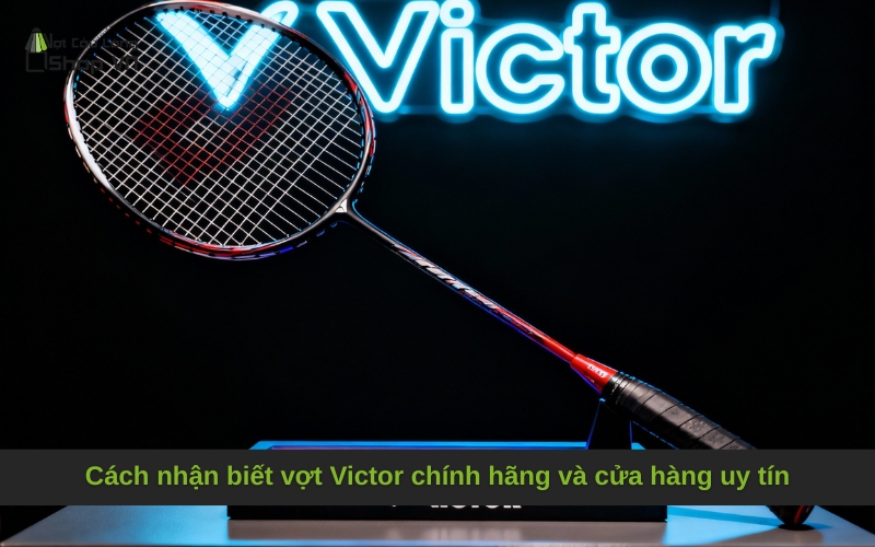 Cách nhận biết vợt Victor chính hãng và cửa hàng uy tín