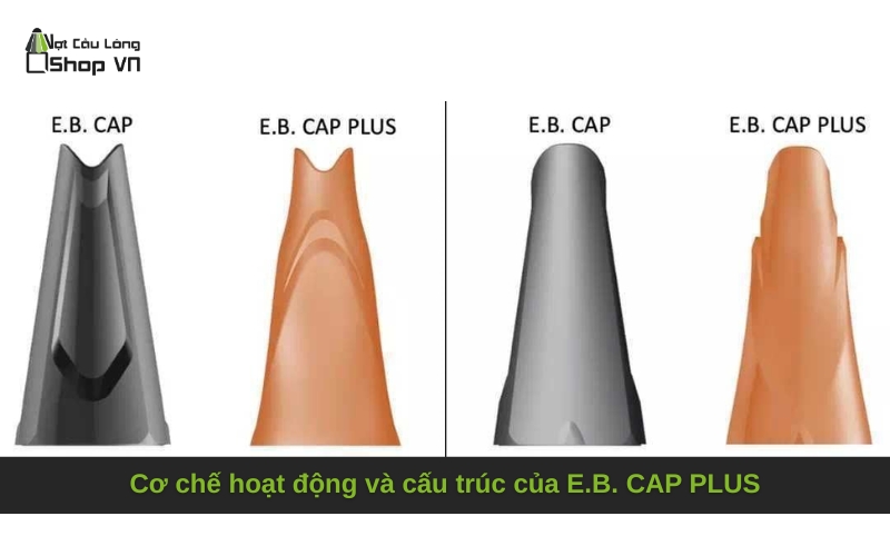 Cơ chế hoạt động và cấu trúc của E.B. CAP PLUS