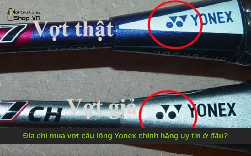 Địa chỉ mua vợt cầu lông Yonex chính hãng uy tín ở đâu?