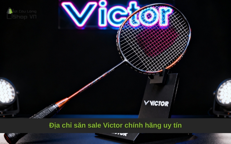 Địa chỉ săn sale Victor chính hãng uy tín