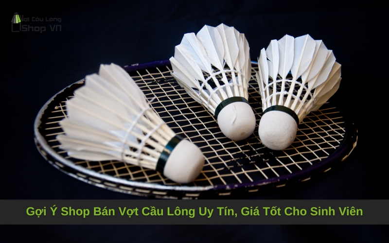 Gợi Ý Shop Bán Vợt Cầu Lông Uy Tín, Giá Tốt Cho Sinh Viên