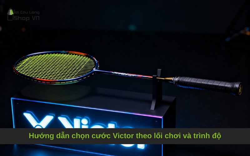 Hướng dẫn chọn cước Victor theo lối chơi và trình độ