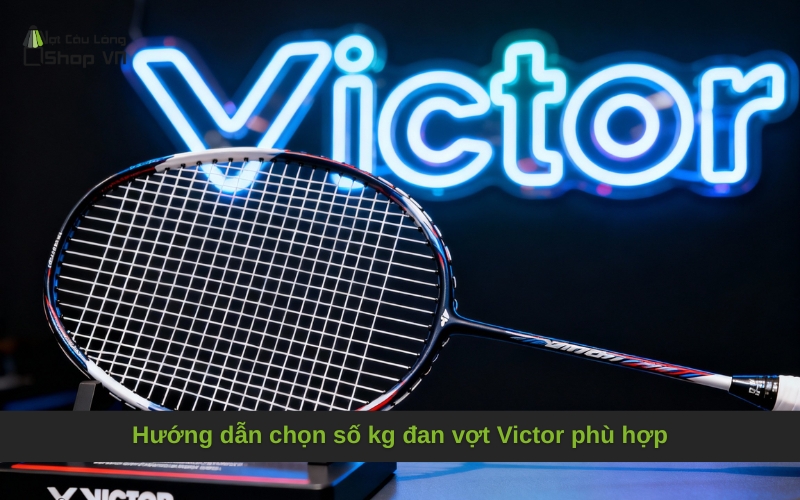 Hướng dẫn chọn số kg đan vợt Victor phù hợp
