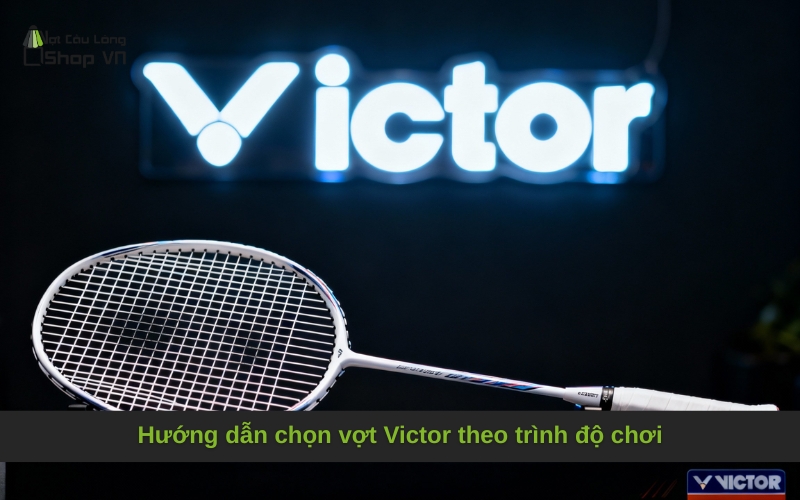 Hướng dẫn chọn vợt Victor theo trình độ chơi