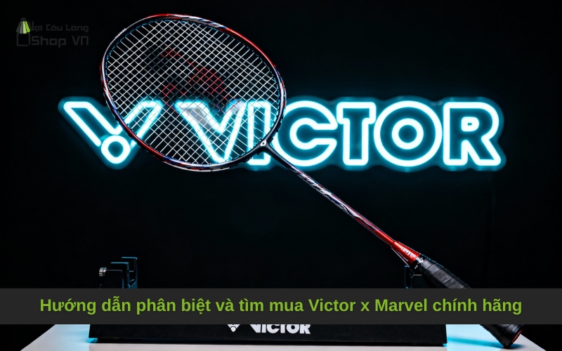 Hướng dẫn phân biệt và tìm mua Victor x Marvel chính hãng