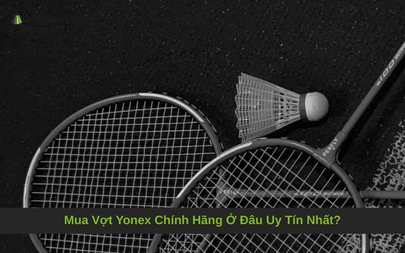 Mua Vợt Yonex Chính Hãng Ở Đâu Uy Tín Nhất?