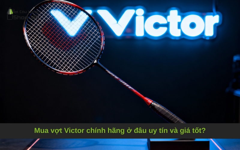 Mua vợt Victor chính hãng ở đâu uy tín và giá tốt?