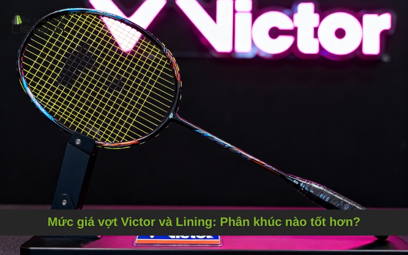 Mức giá vợt Victor và Lining: Phân khúc nào tốt hơn?