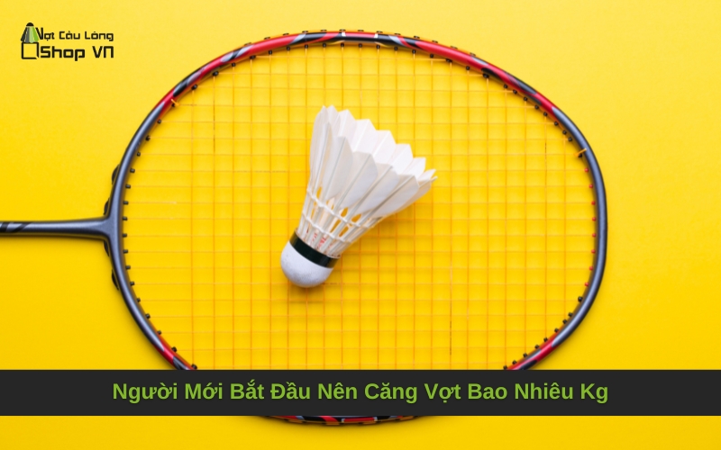 Người Mới Bắt Đầu Nên Căng Vợt Bao Nhiêu Kg