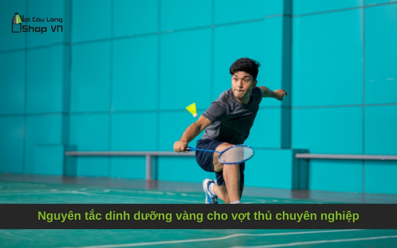Nguyên tắc dinh dưỡng vàng cho vợt thủ chuyên nghiệp