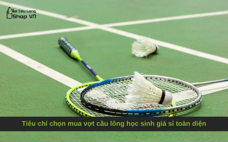 Tiêu chí chọn mua vợt cầu lông học sinh giá sỉ toàn diện