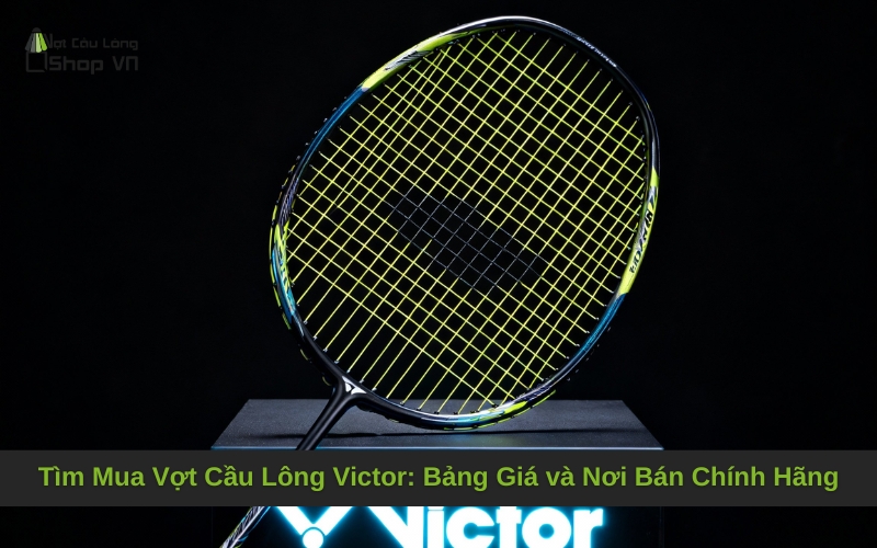 Tìm Mua Vợt Cầu Lông Victor: Bảng Giá và Nơi Bán Chính Hãng