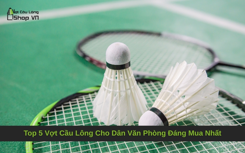 Top 5 Vợt Cầu Lông Cho Dân Văn Phòng Đáng Mua Nhất