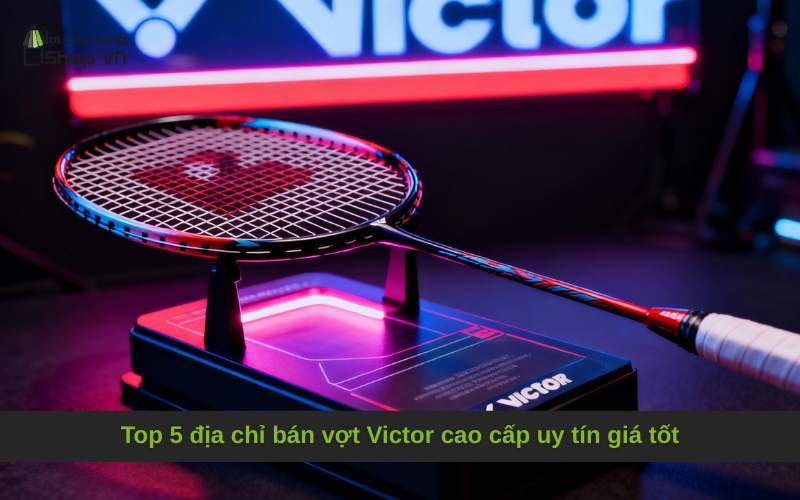 Top 5 địa chỉ bán vợt Victor cao cấp uy tín giá tốt