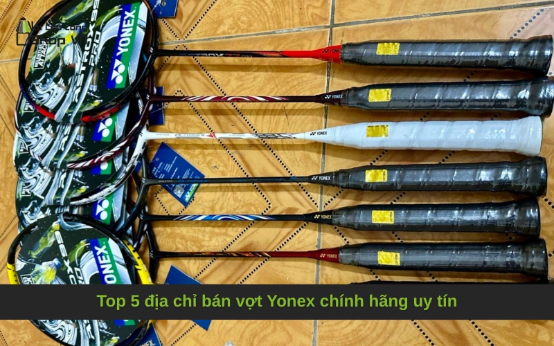 Top 5 địa chỉ bán vợt Yonex chính hãng uy tín