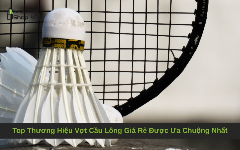 Top Thương Hiệu Vợt Cầu Lông Giá Rẻ Được Ưa Chuộng Nhất