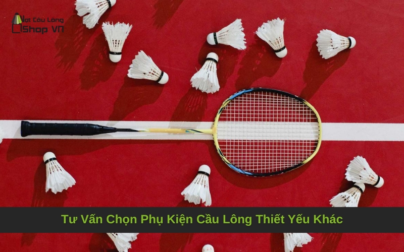 Tư Vấn Chọn Phụ Kiện Cầu Lông Thiết Yếu Khác