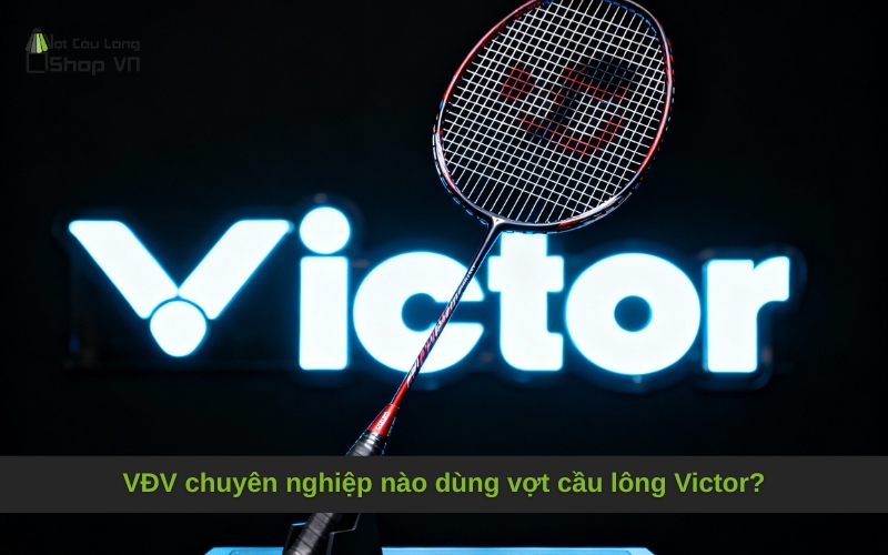 Địa chỉ mua vợt Victor chính hãng và giá bán
