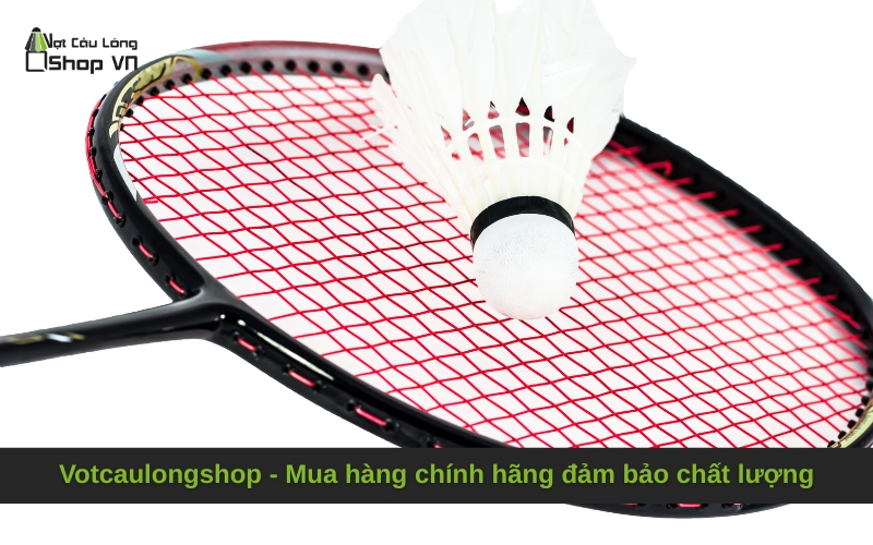 Votcaulongshop - Mua hàng chính hãng đảm bảo chất lượng