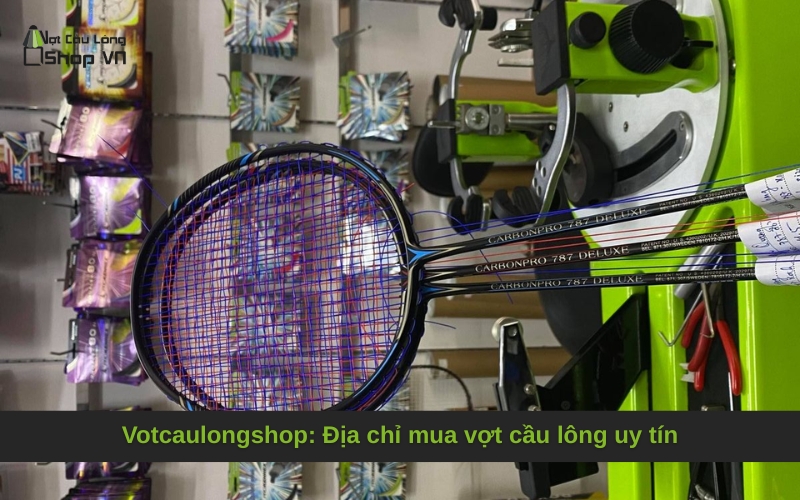 Votcaulongshop: Địa chỉ mua vợt cầu lông uy tín