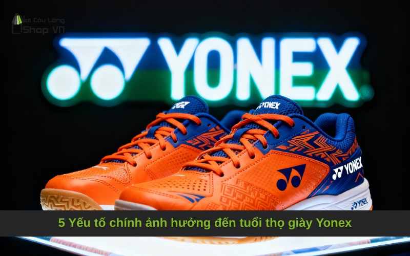 5 Yếu tố chính ảnh hưởng đến tuổi thọ giày Yonex