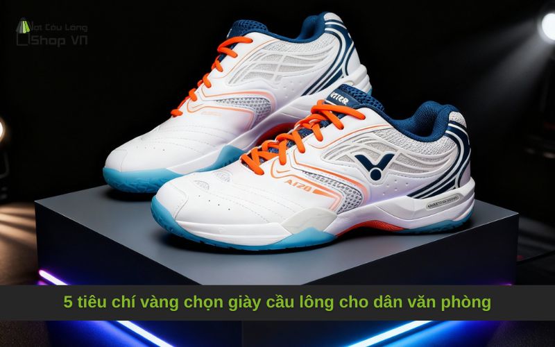 5 tiêu chí vàng chọn giày cầu lông cho dân văn phòng
