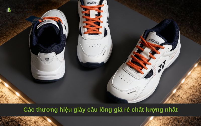 Các thương hiệu giày cầu lông giá rẻ chất lượng nhất