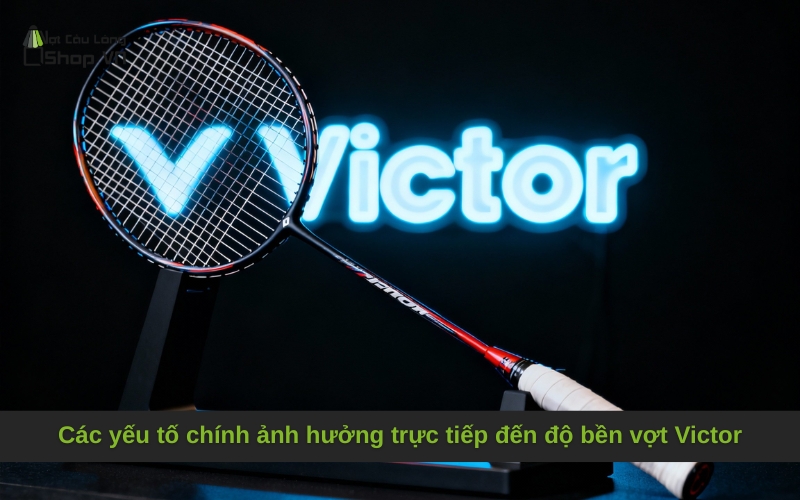 Các yếu tố chính ảnh hưởng trực tiếp đến độ bền vợt Victor