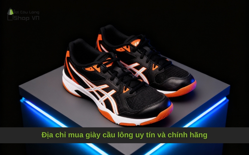 Địa chỉ mua giày cầu lông uy tín và chính hãng