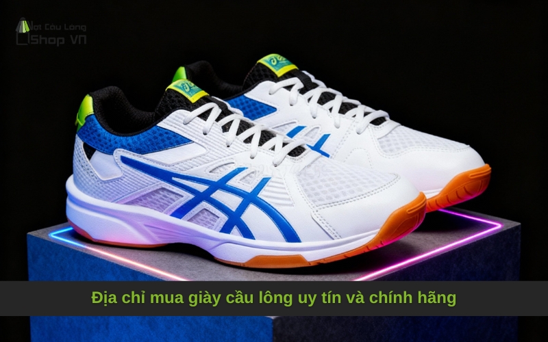 Địa chỉ mua giày cầu lông uy tín và chính hãng