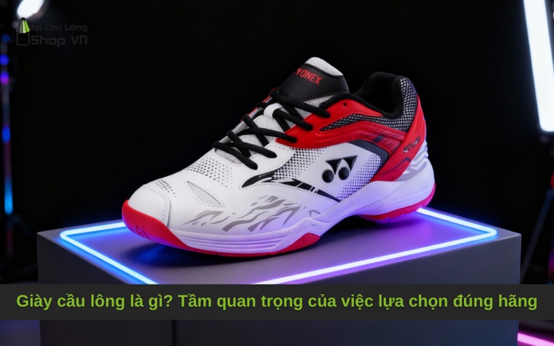Giày cầu lông là gì? Tầm quan trọng của việc lựa chọn đúng hãng