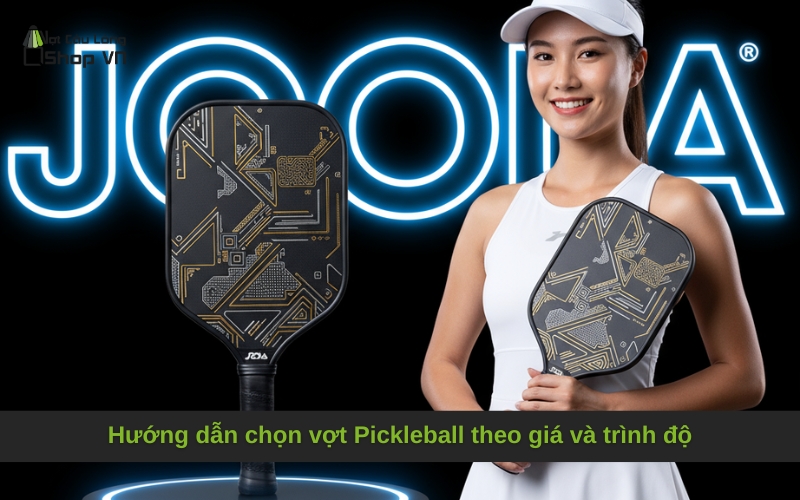 Hướng dẫn chọn vợt Pickleball theo giá và trình độ