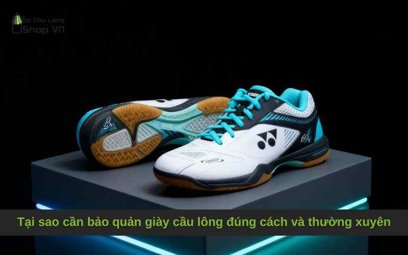Tại sao cần bảo quản giày cầu lông đúng cách và thường xuyên