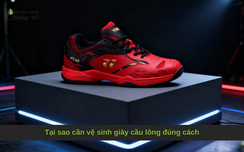 Tại sao cần vệ sinh giày cầu lông đúng cách