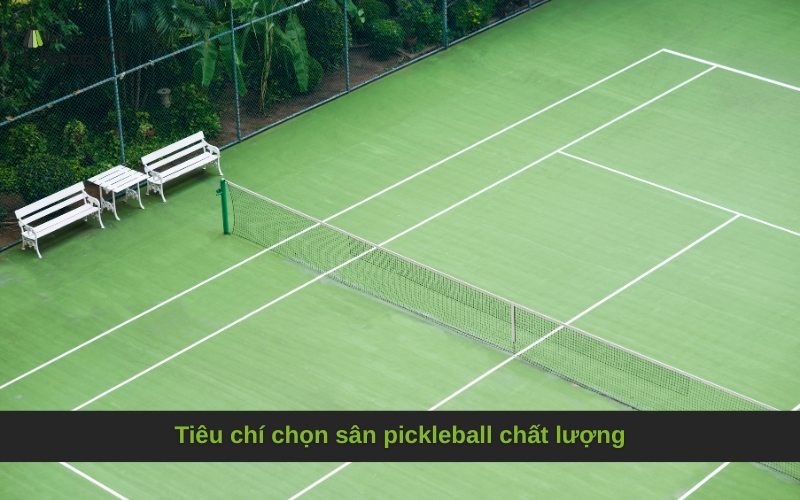 Tiêu chí chọn sân pickleball chất lượng