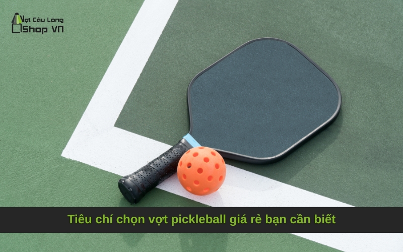 Tiêu chí chọn vợt pickleball giá rẻ bạn cần biết