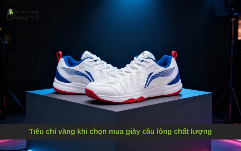 Tiêu chí vàng khi chọn mua giày cầu lông chất lượng
