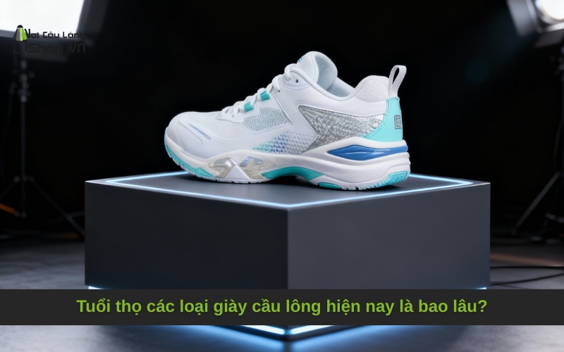 Tuổi thọ các loại giày cầu lông hiện nay là bao lâu?