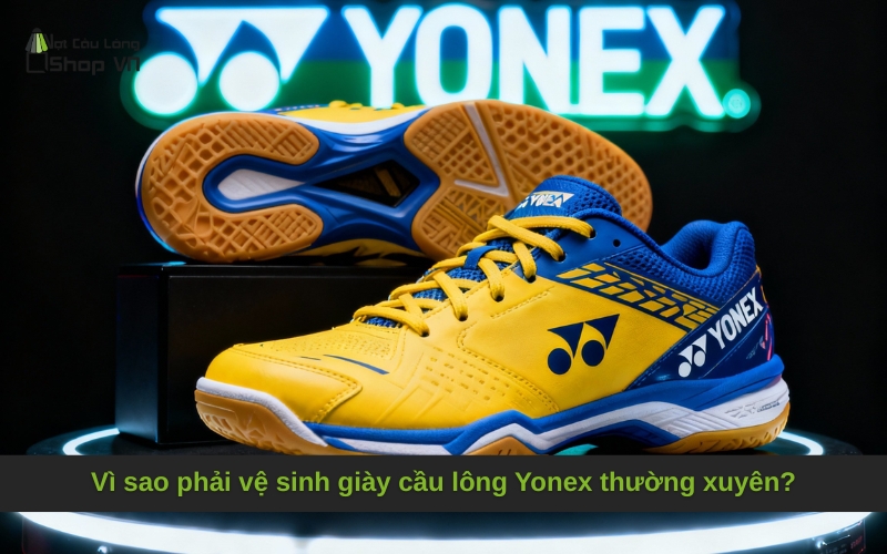 Vì sao phải vệ sinh giày cầu lông Yonex thường xuyên?