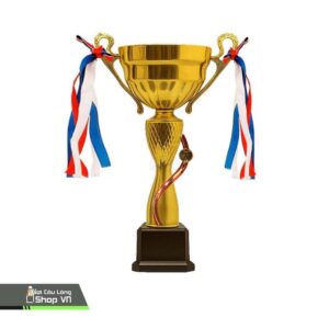 Cúp Fall 1 Mảnh Cong